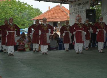 2010 HID BAH SEN FEST (194)
