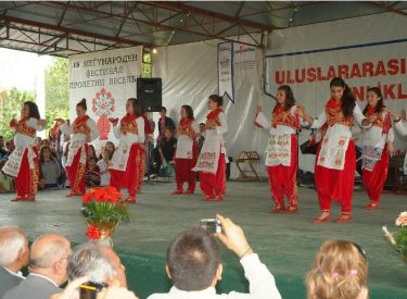 2010 HID BAH SEN FEST (237)