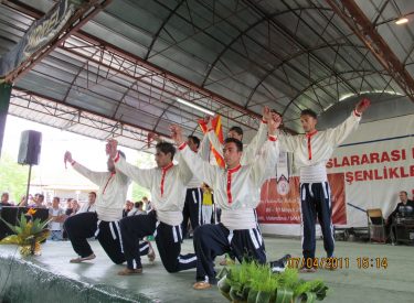2011 HID BAH SEN FEST (23)