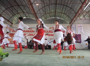 2011 HID BAH SEN FEST (31)