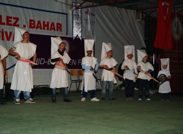 2011 HID BAH SEN FEST (337)