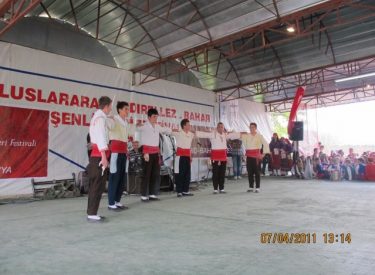 2011 HID BAH SEN FEST (365)