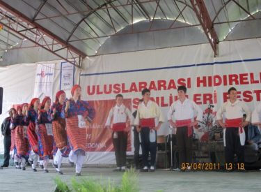 2011 HID BAH SEN FEST (371)